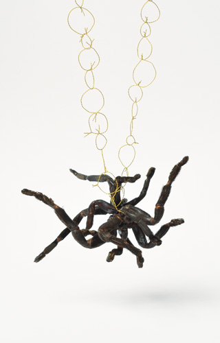 <h7>untitled, 2010, Necklace, Spider, Gold</h7><br />o.T., 2010, Halsschmuck, Spinne, Gold